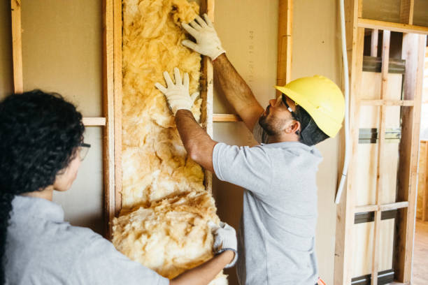 Best Insulation Air Sealing  in Pitola, CA